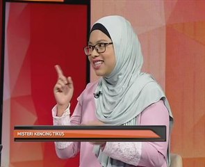 Misteri kencing tikus