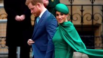 Harry hates the term Megxit, claiming that the royal departure was his idea