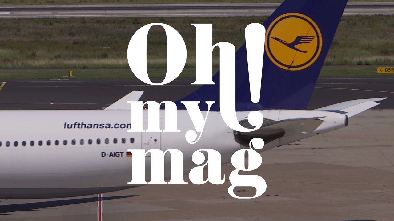 Emotional Support Animal: Wenn im Flugzeug auf einmal Tiere mitreisen