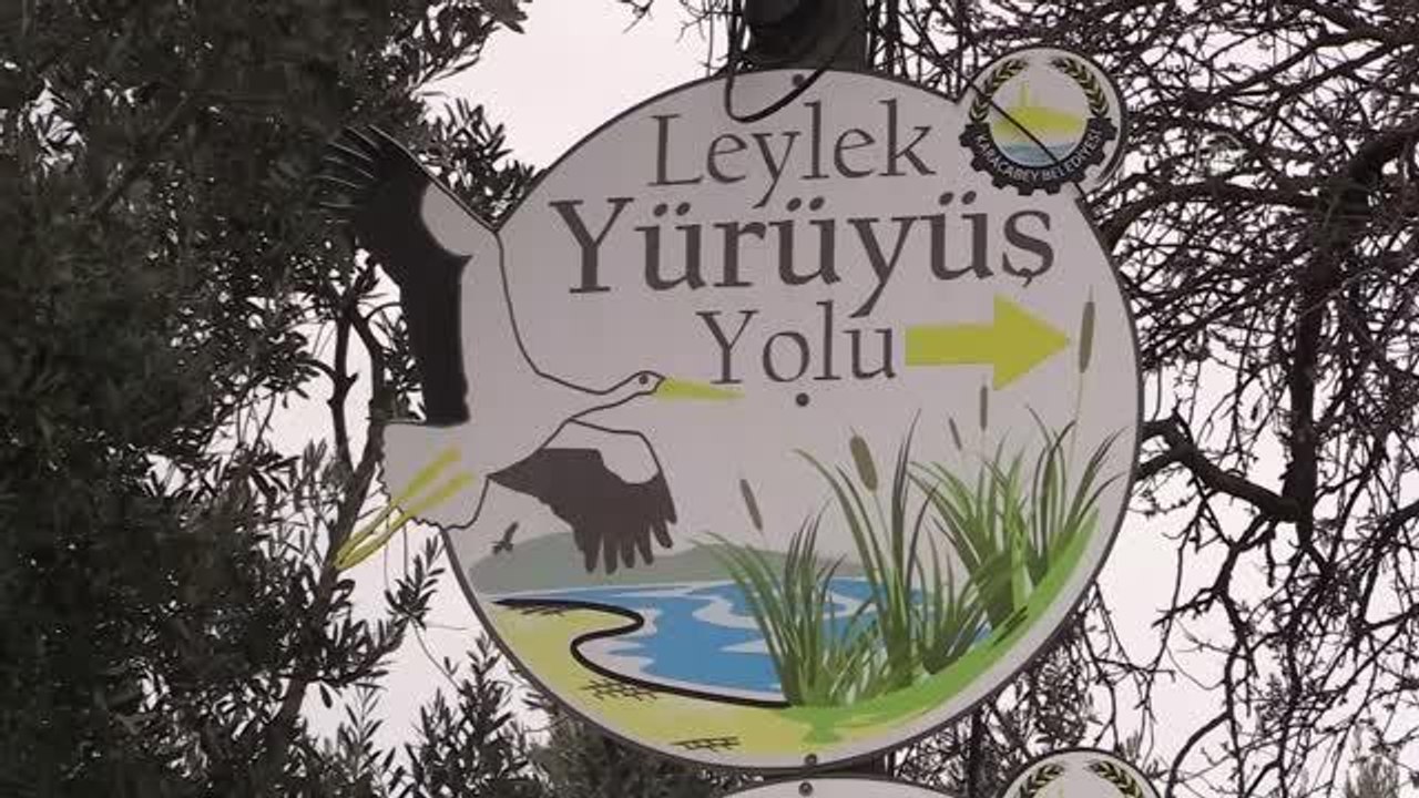 Bursa'nın leylek köyü, "dördüncü cemresi" Yaren leyleği bekliyor