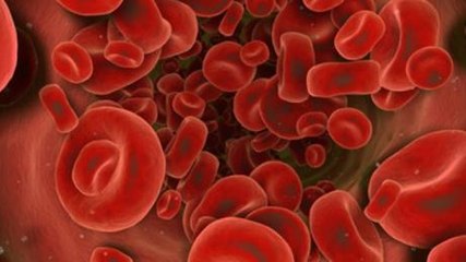 Septicémie : définition, symptômes, traitement, qu’est-ce que le sepsis ?