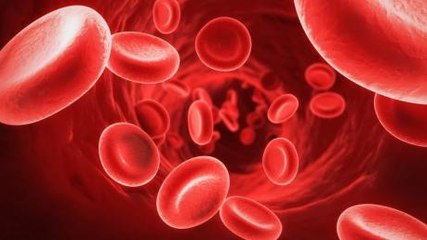 Thrombopénie : définition, causes, symptômes, de quoi s'agit-il ?