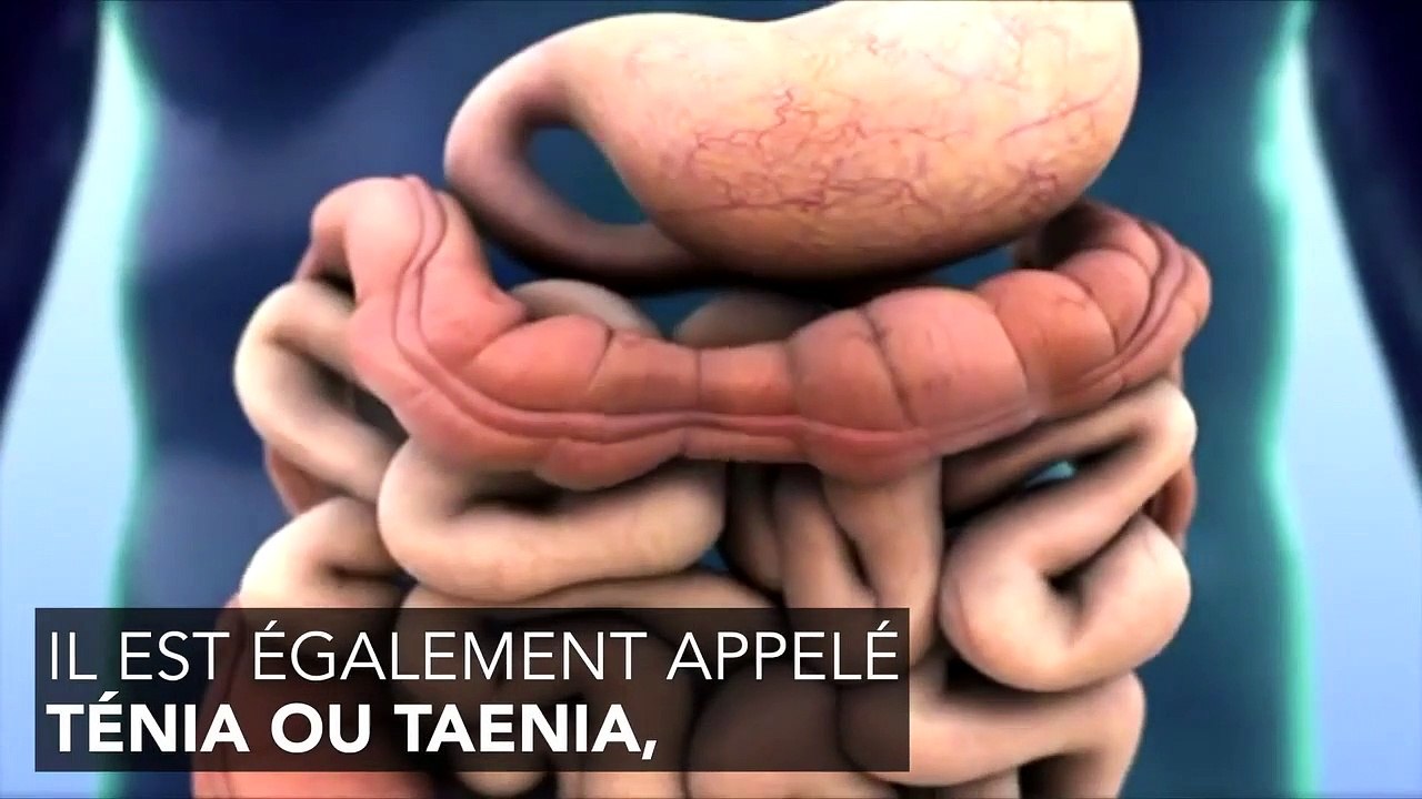 Ver solitaire (ténia) : symptômes, traitement, comment l'attrape-t-on ...
