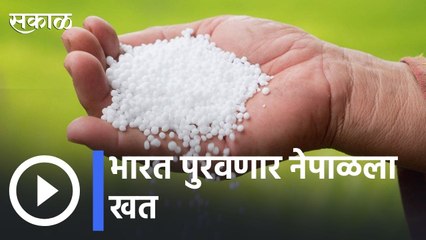 Descargar video: Urea  Fertilizers | भारत पुरवणार नेपाळला खत | Sakal |