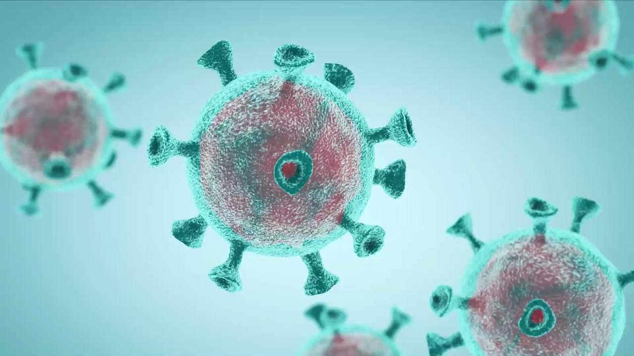 Noch lange keine Ende in Sicht: Die verheerende Corona-Prognose der WHO