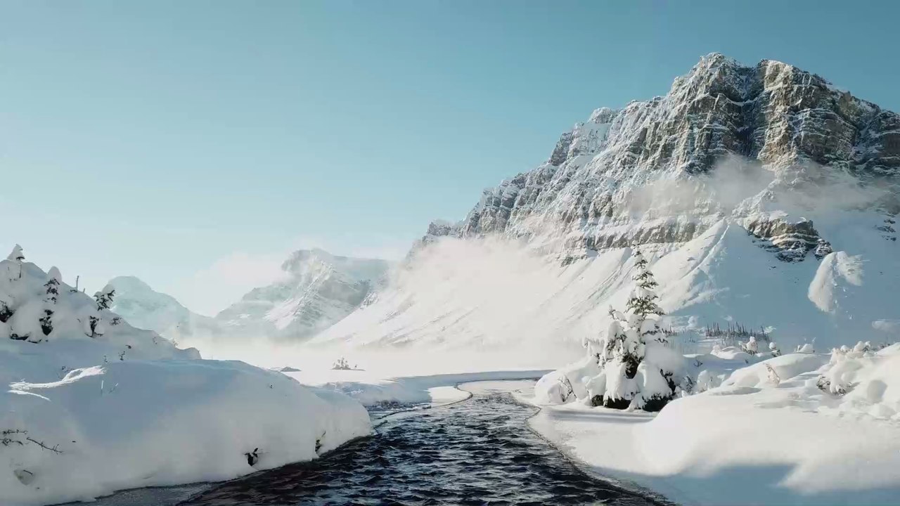 Rührende Aktion: Mann rettet drei Katzen mit Kaffee (Video)