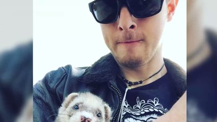 25-Jähriger kündigt Piloten-Job, um dieses Abenteuer mit seinem Frettchen zu unternehmen