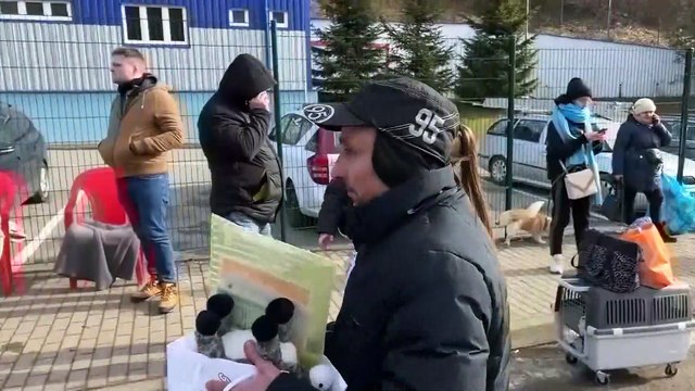 Un millón de refugiados han huido de Ucrania en una semana