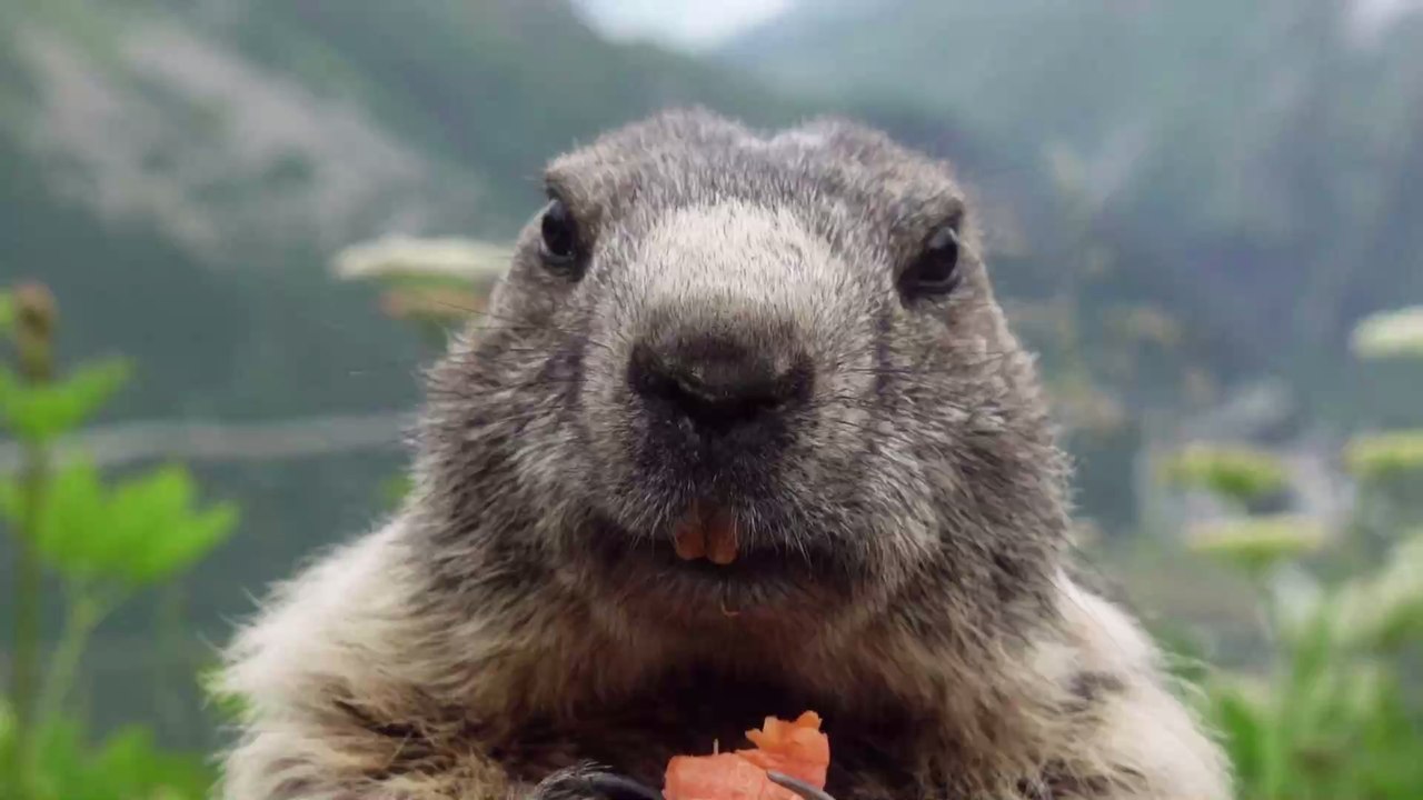 Das passiert, wenn ihr zu schnell esst und so könnt ihr es verhindern
