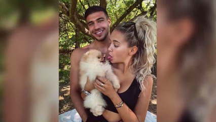 Petition Against Importing Puppies Gets Thousands Of Signatures After Mr Chai Tragedy