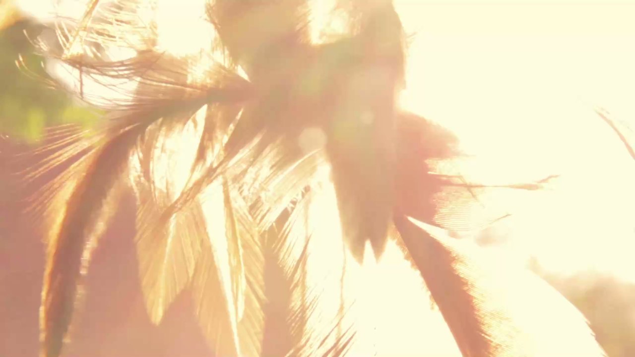 Jungfrau: Das ist dein indianisches Sternzeichen