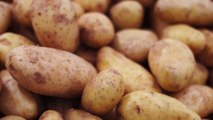 Sprouting potatoes: How to tell if your potatoe is still good to eat