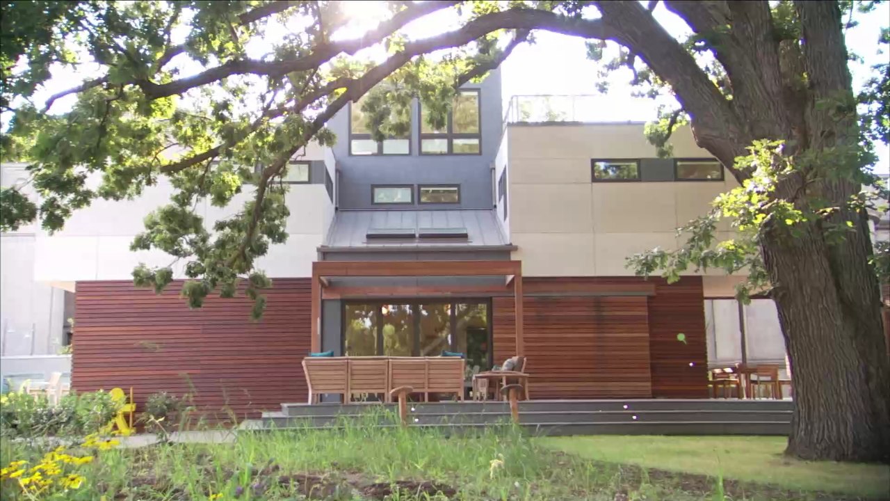 Mann hört Krach auf seiner Terrasse, dann steht ihm ein wütendes Riesentier gegenüber