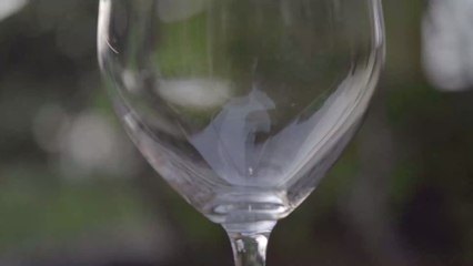 Rosénade: The Cocktail Everyone’s Sipping on This Summer