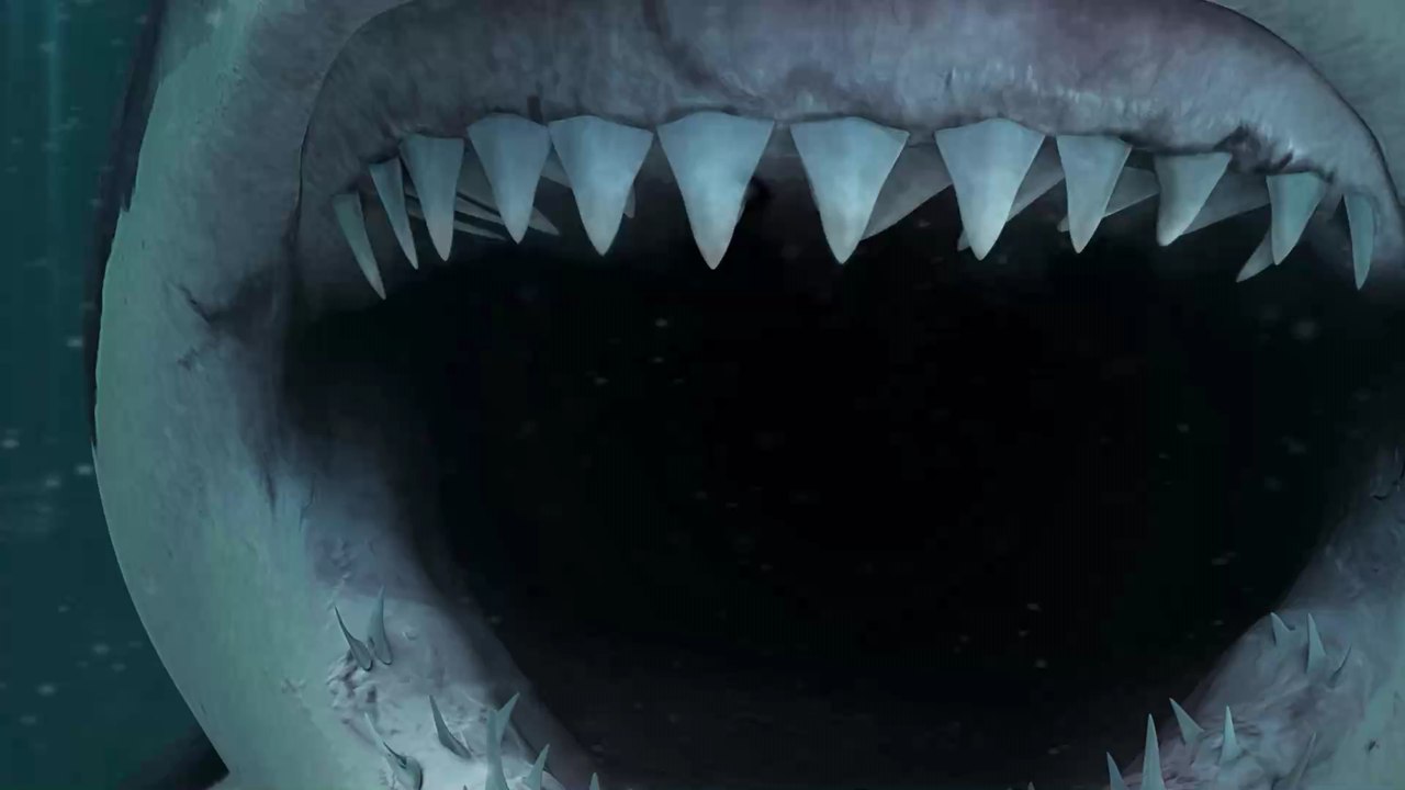 Albino-Hai: Seltenes Exemplar erstmals in Großbritannien gesichtet (Fotos)