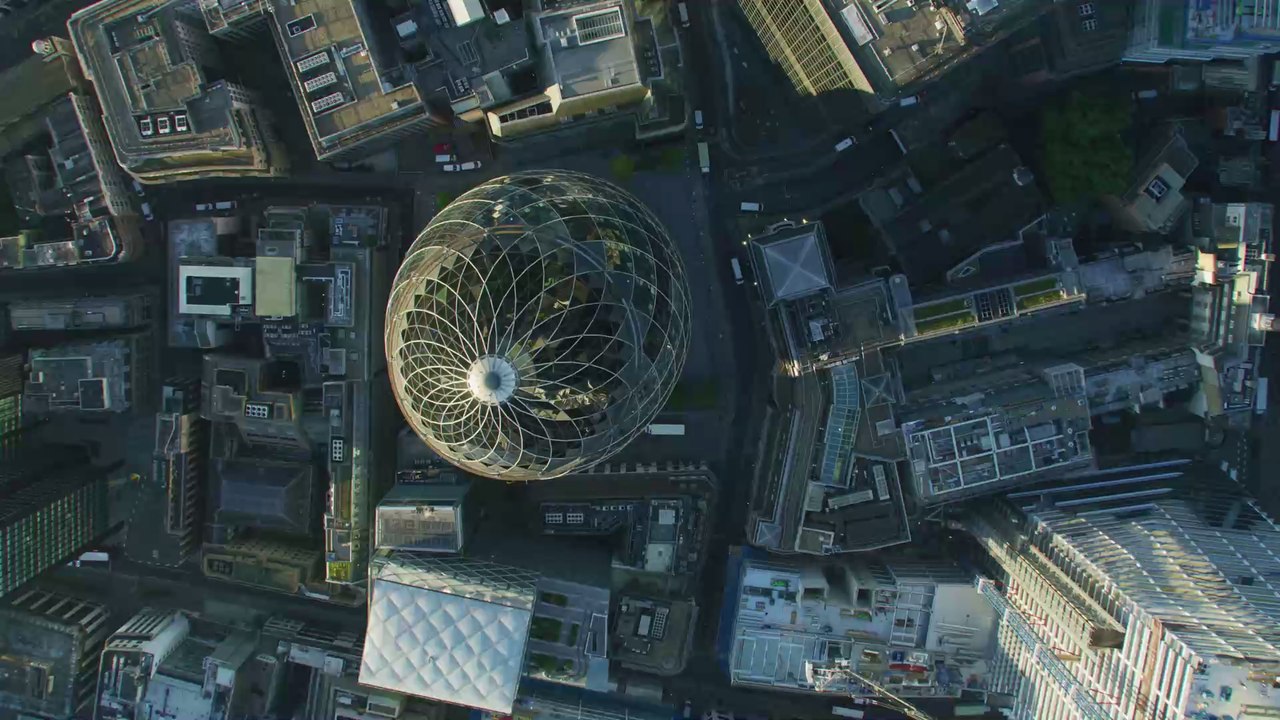 Mann fotografiert Eichhörnchen, doch ein Detail macht ihn betroffen