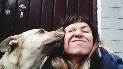 Coronavirus: Ist es von Hunden auf uns Menschen übertragbar?
