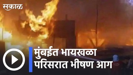 Byculla Breaking | मुंबईत भायखळा परिसरात भीषण आग | Sakal |
