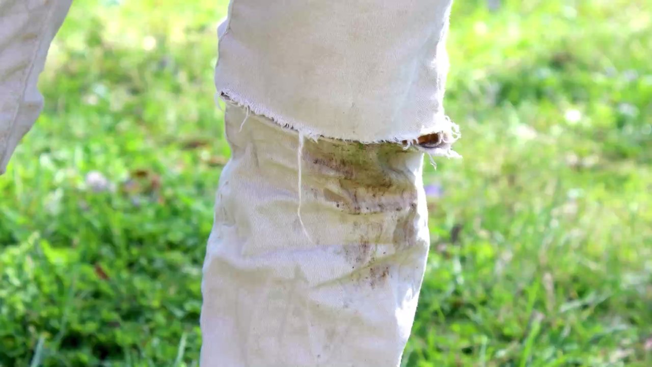 So werdet ihr Grasflecken in Anziehsachen schnell los