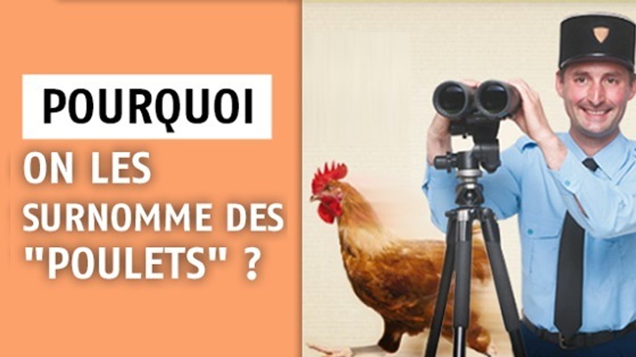 Pourquoi les policiers sont-ils surnommés les "poulets" ?