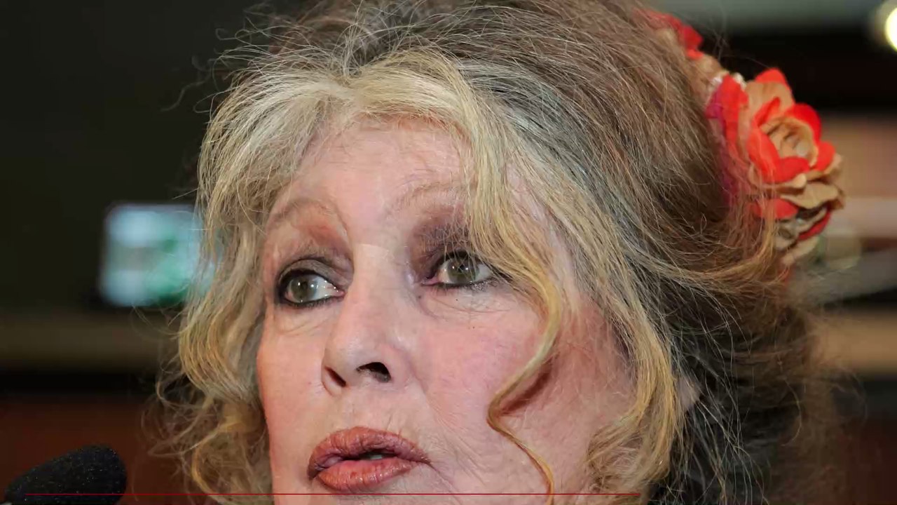 'Sie verachten jegliches tierische Leid': Brigitte Bardot wütet in offenem Brief gegen Macron