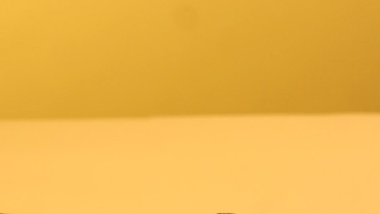 Mit nur zwei Zutaten: Mit dieser DIY-Maske werdet ihr Mitesser garantiert los