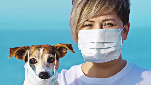 Notfallplan wegen Corona: So sorgst du für dein Haustier vor für den Fall der Fälle