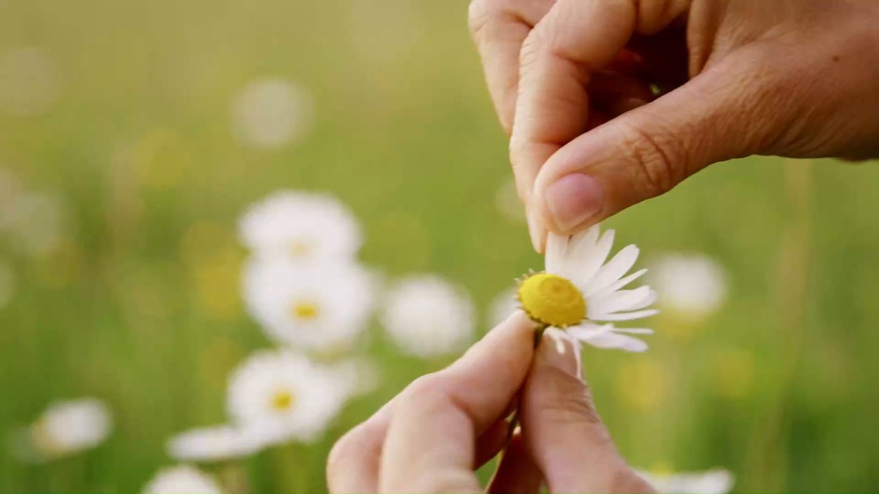 Astrologie: So verrät der Löwe-Mann, dass er heimlich auf dich steht