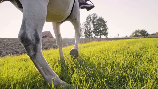 Moderatorin Anja Koebel hat einen schweren Reitunfall mit schlimmen körperlichen Folgen