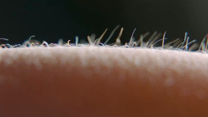 ‘The Union Of The Magpie:’ The Comfortable, Practical Sex Position That Will Easily Make You Orgasm