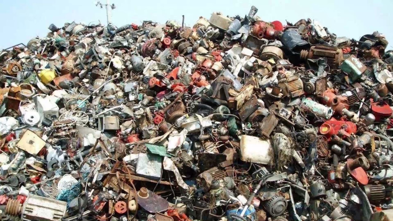 Bilderrätsel: 89 % können das Tier auf der Mülldeponie nicht entdecken