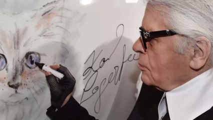 Choupette: So geht es Karl Lagerfelds Katze ein Jahr nach seinem Ableben
