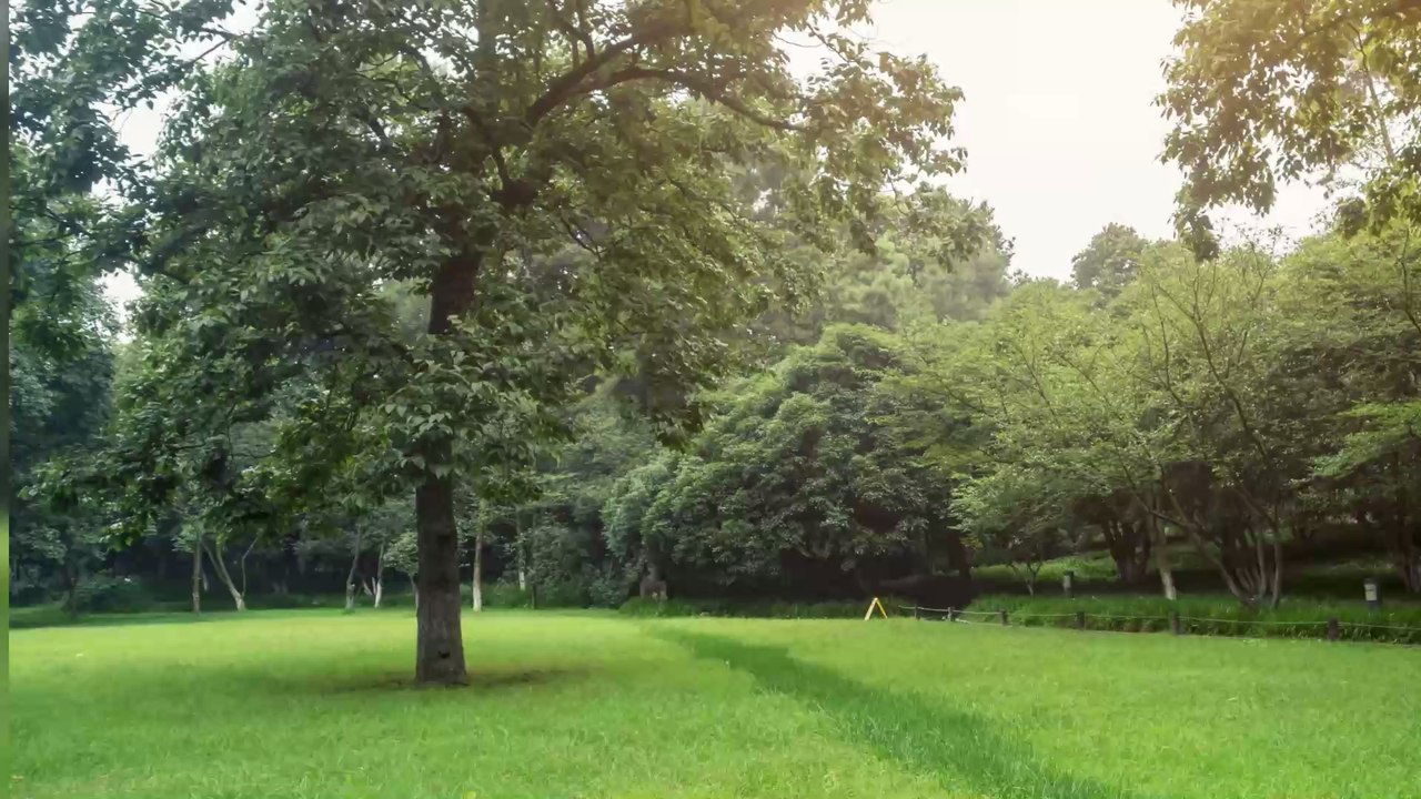 So bereitet ihr euren Garten optimal auf den Sommer vor