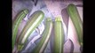 Zucchini lieben lernen: Mit diesen 8 Arten der Zubereitung werden sie auch euch schmecken