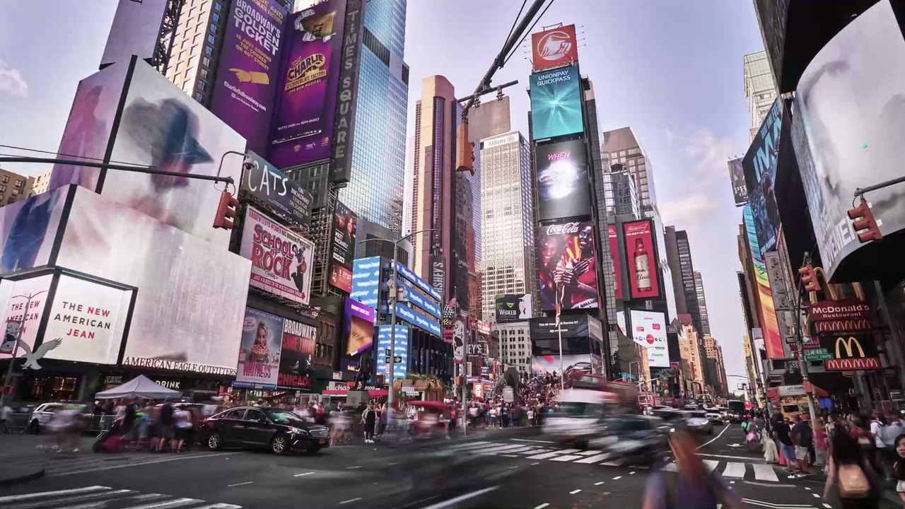 Hunde auf Pizzakarton: Pizzeria unterstützt Tierheim auf originelle Weise