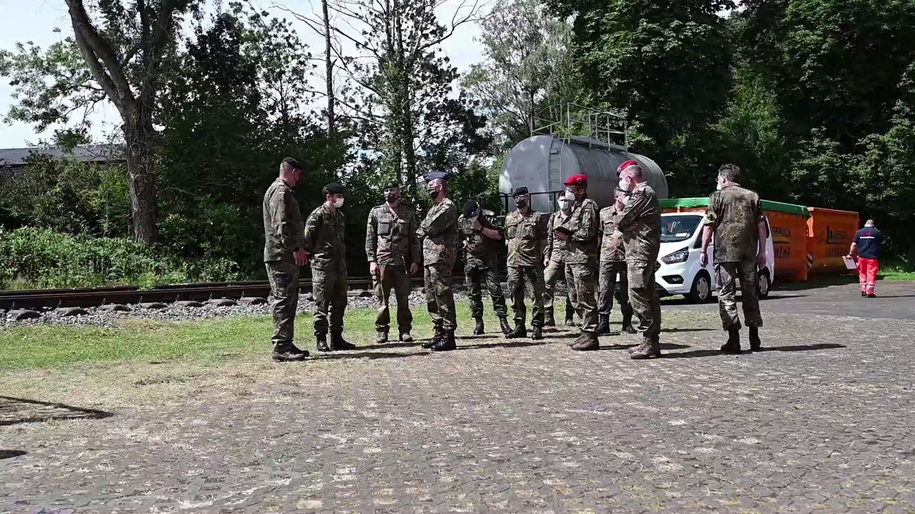 80%-Trefferquote: So könnten uns Spürhunde bald im Kampf gegen das Coronavirus unterstützen