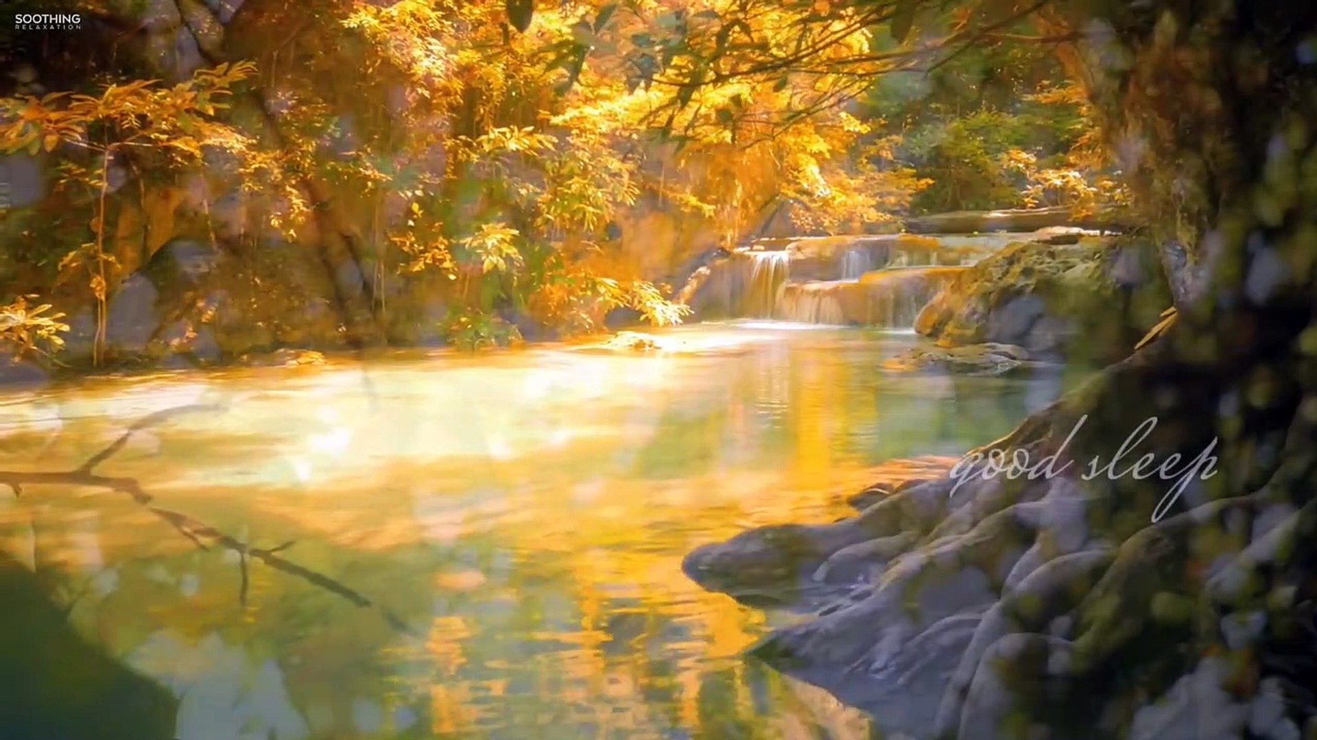 ⁣morning vibes - gentle river -bird song -sound healing