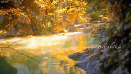 morning vibes - gentle river -bird song -sound healing
