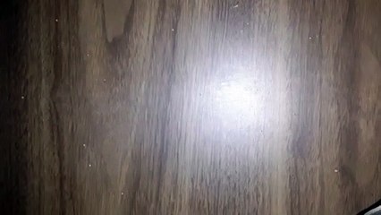 ZEBRA FINCH 20210316_062051