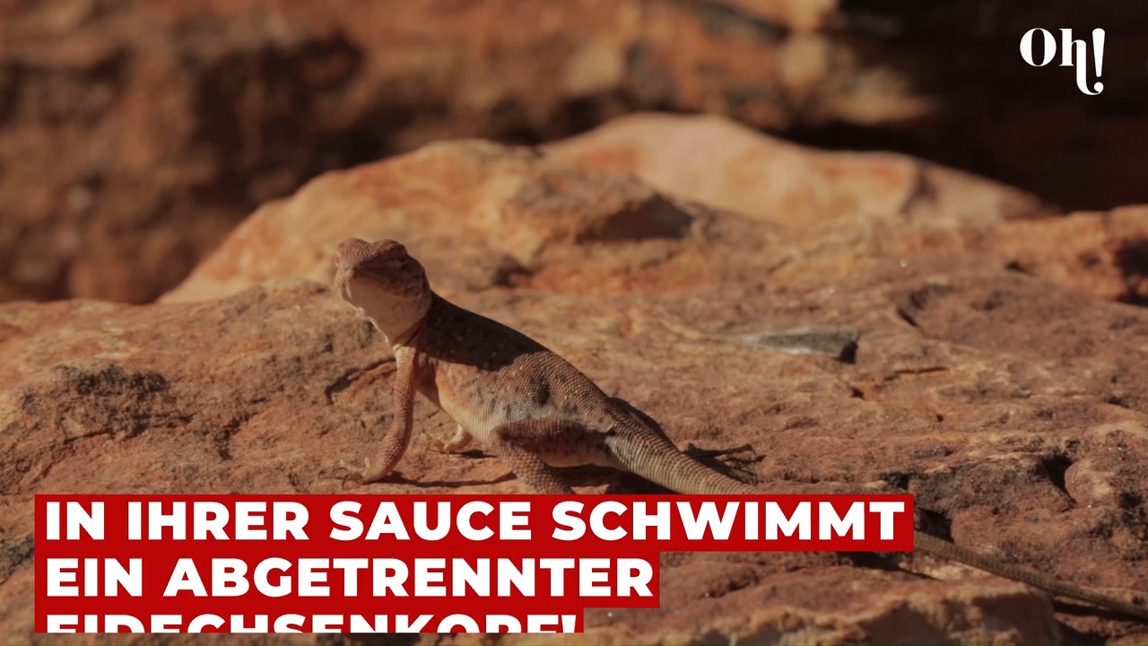 Gruseliger Fund: Mutter will vegane Bolognese von Lidl kochen, dann vergeht allen der Appetit