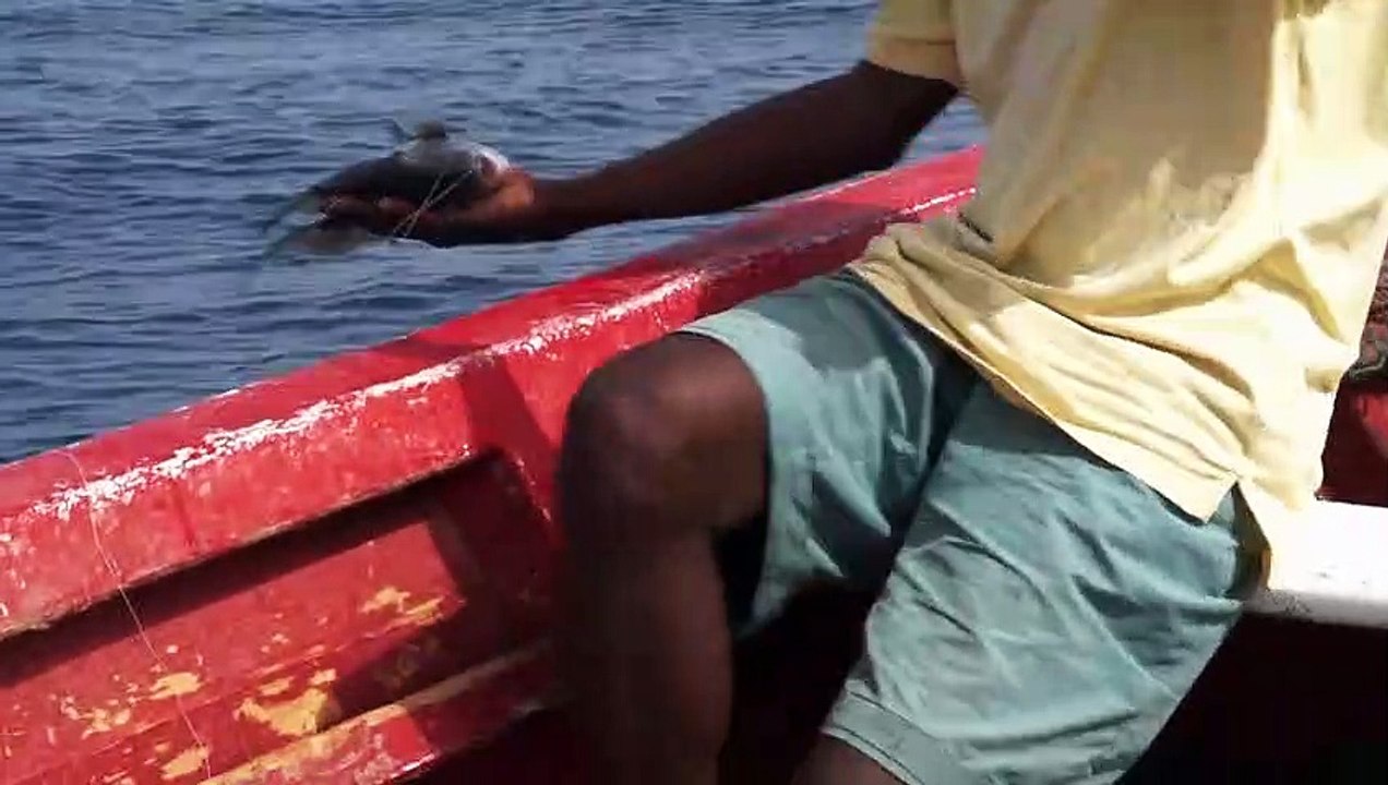 Cap Vert, Ile de Santo Antao, pêche à la palangrotte