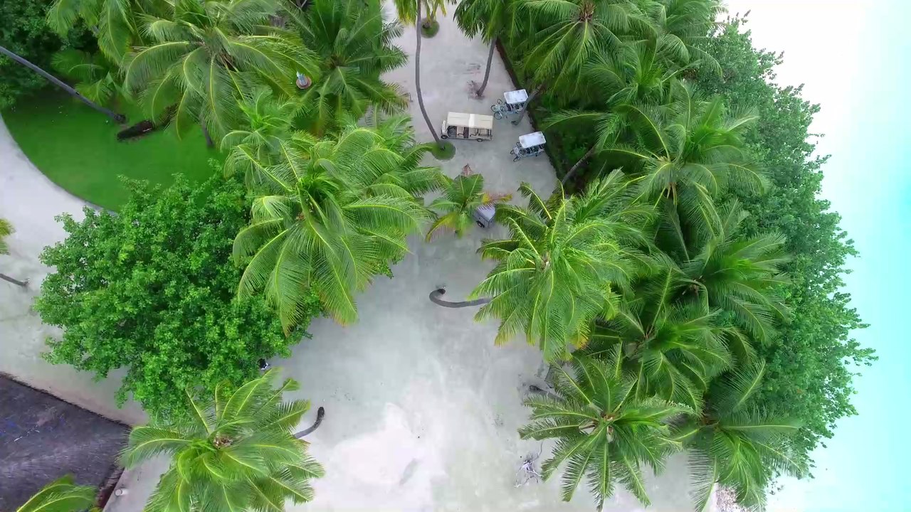 Vorwurf der Tierquälerei: Bastian Yotta spricht von 'Hetzjagd' gegen ihn