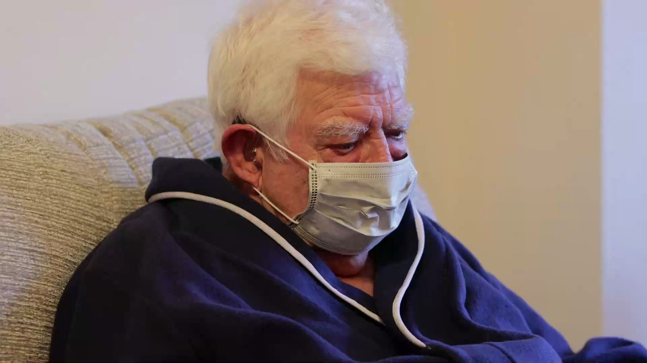 Retter in der Not: Hund erledigt für kranke Frau Einkäufe in der Quarantäne