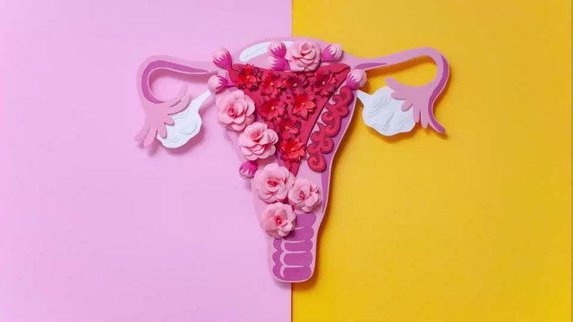 MPs are urgently calling for drastic improvements in endometriosis care