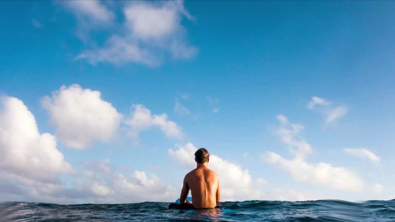 Protest im Internet: Mann surft im Roten Meer auf einem Walhai! (VIDEO)
