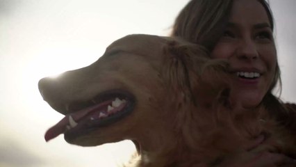 Hund bekommt täglich Leckerli von Nachbarn, doch dann erkrankt dieser an COVID-19