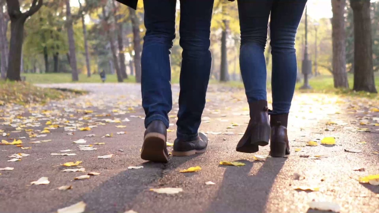 Diese Wasserhühner bekommen unerwartete Hilfe beim Nestbau