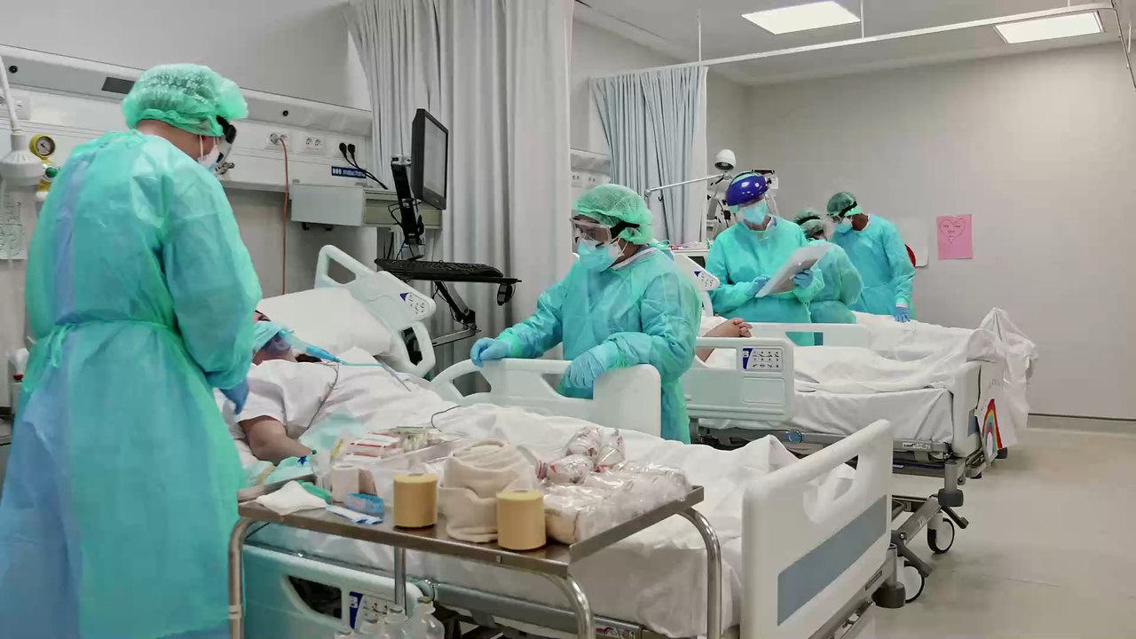 Auf Meeresschildkröten hat Corona einen überraschenden Effekt