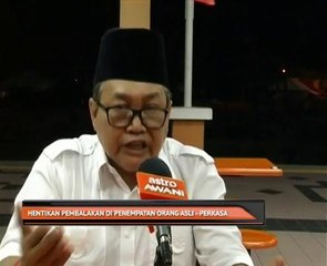 Hentikan pembalakan di penempatan Orang Asli – PERKASA