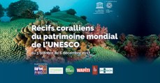 Partez à la découverte des récifs coralliens du Patrimoine mondial de l'UNESCO à l'Aquarium de Paris